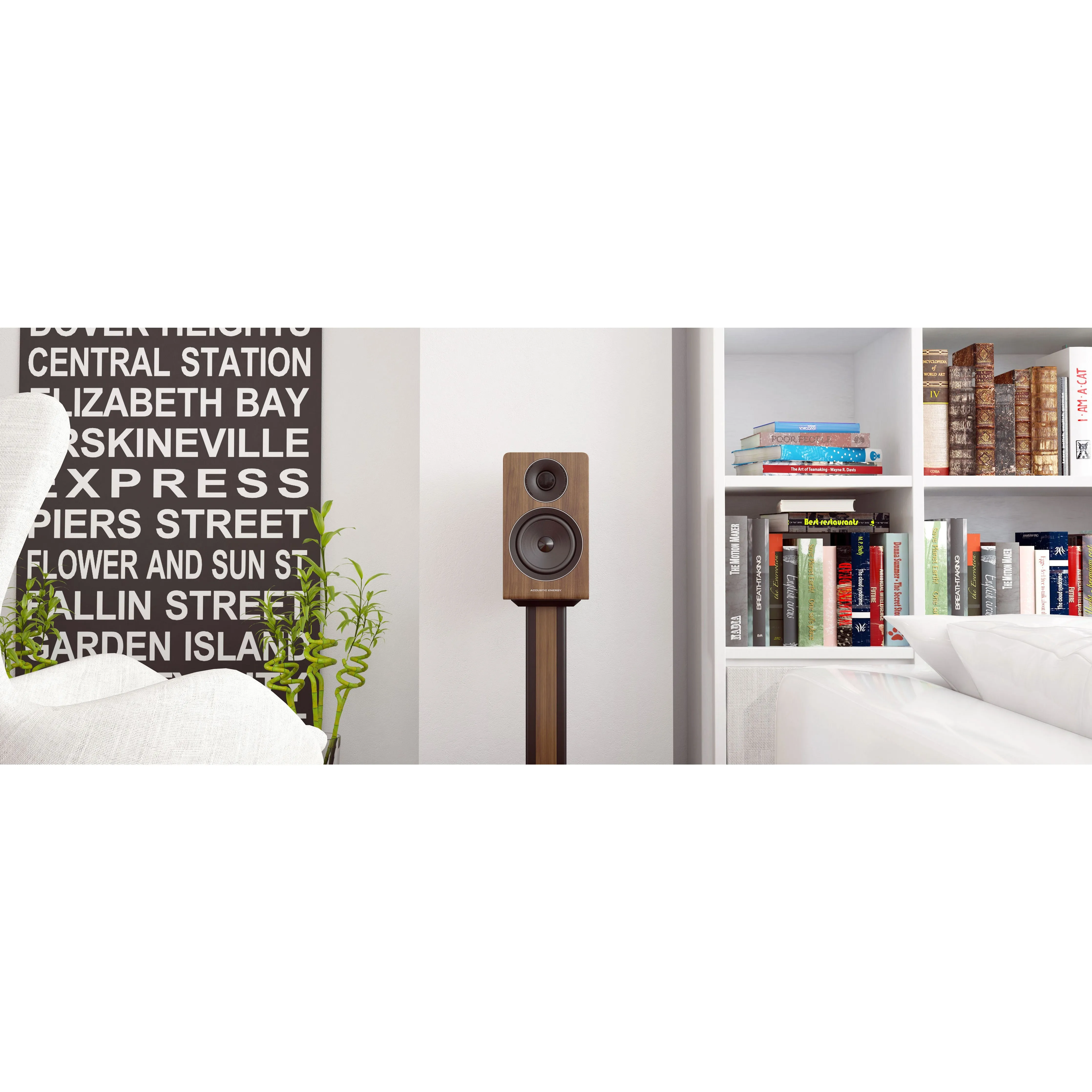 ACOUSTIC ENERGY AE300 Standmount Speakers