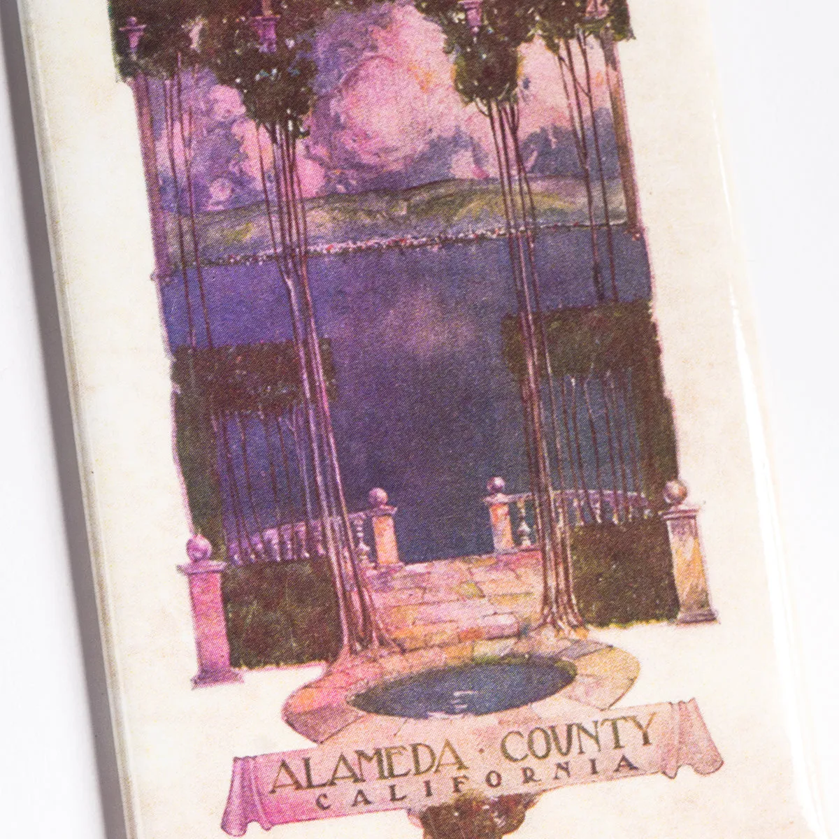 Alameda County Magnet