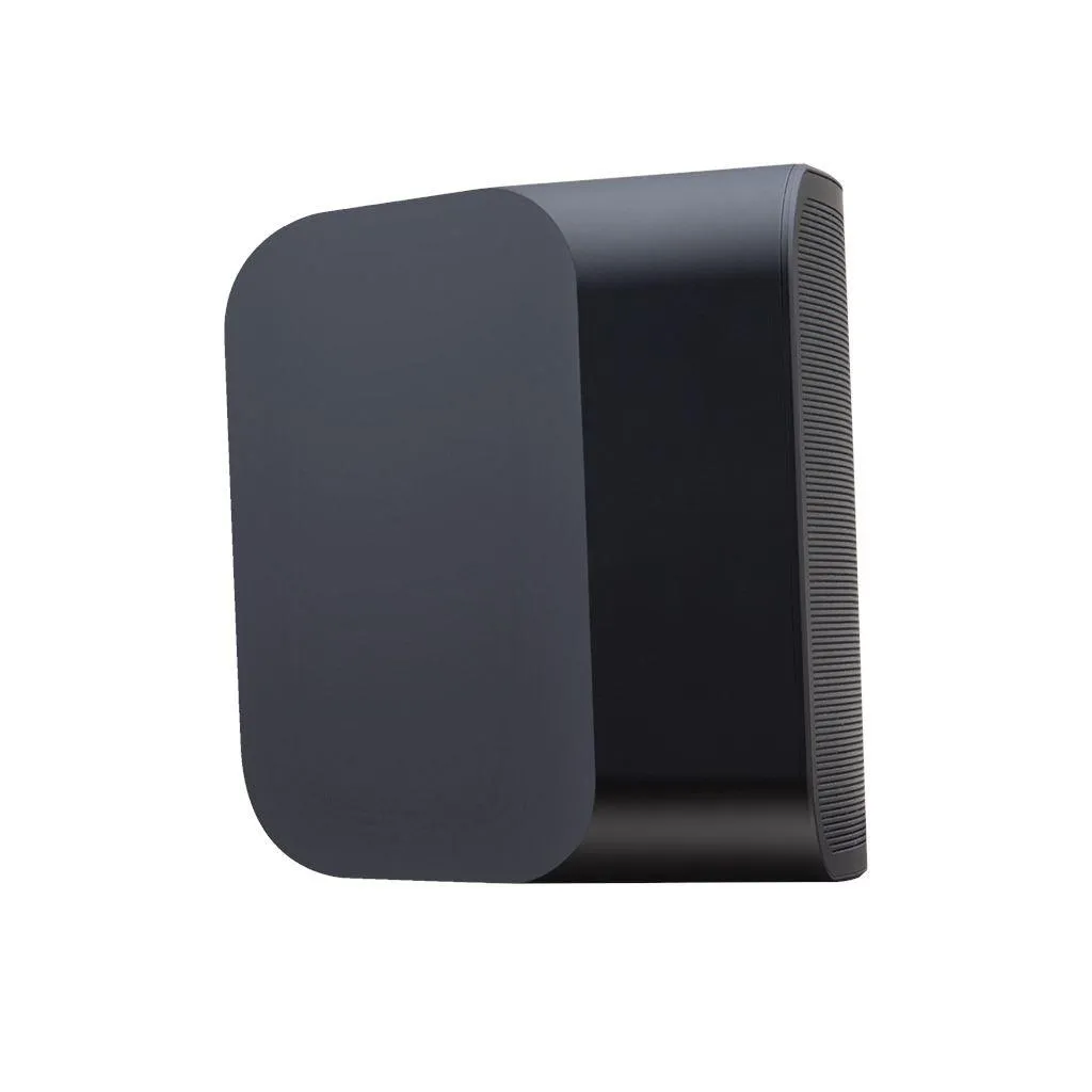 Bluesound PULSE MINI 2i Wireless Speaker