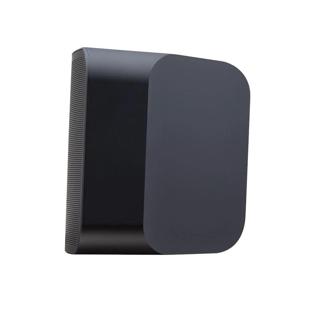 Bluesound PULSE MINI 2i Wireless Speaker