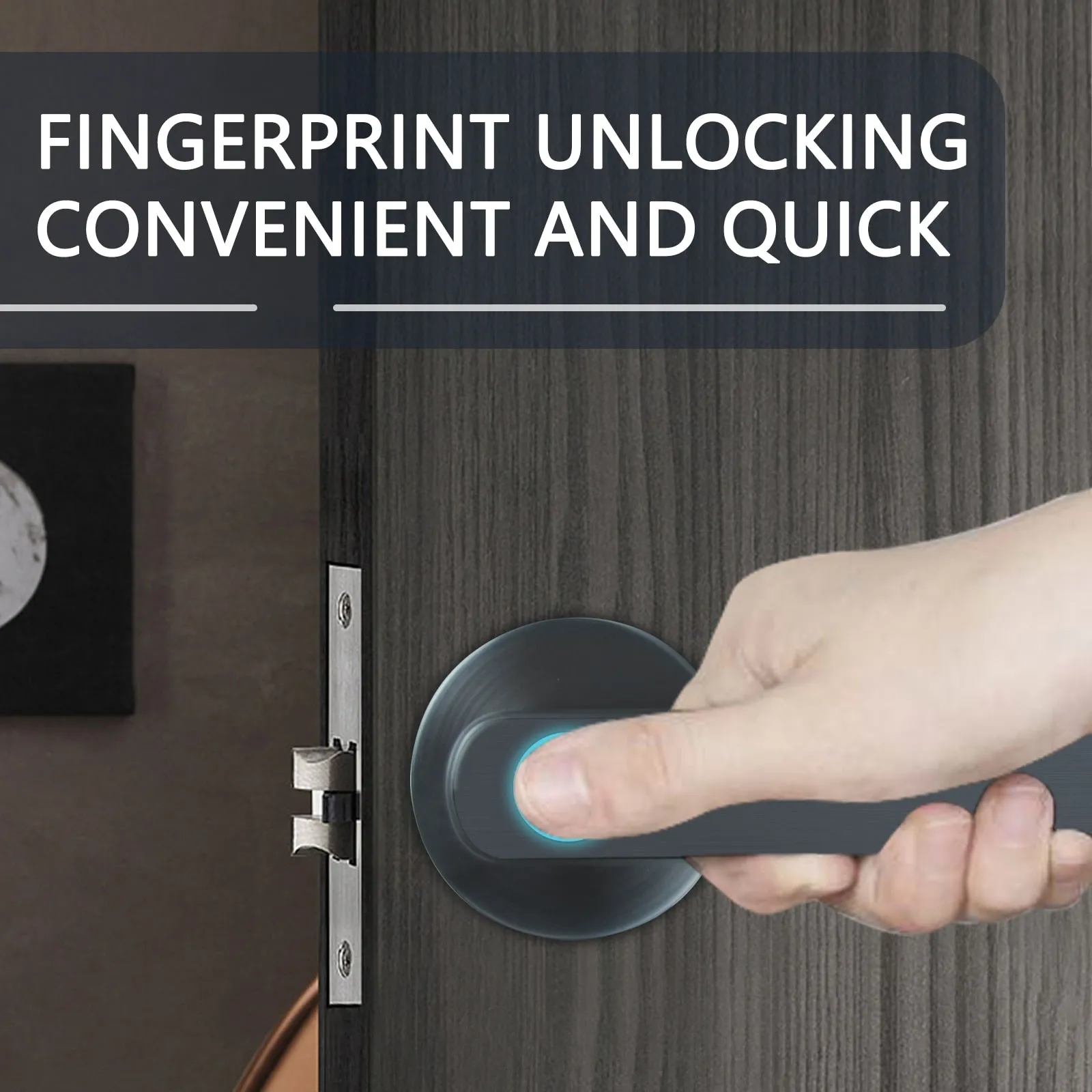 Electronic Smart Door Lock Biometric Fingerprint Door