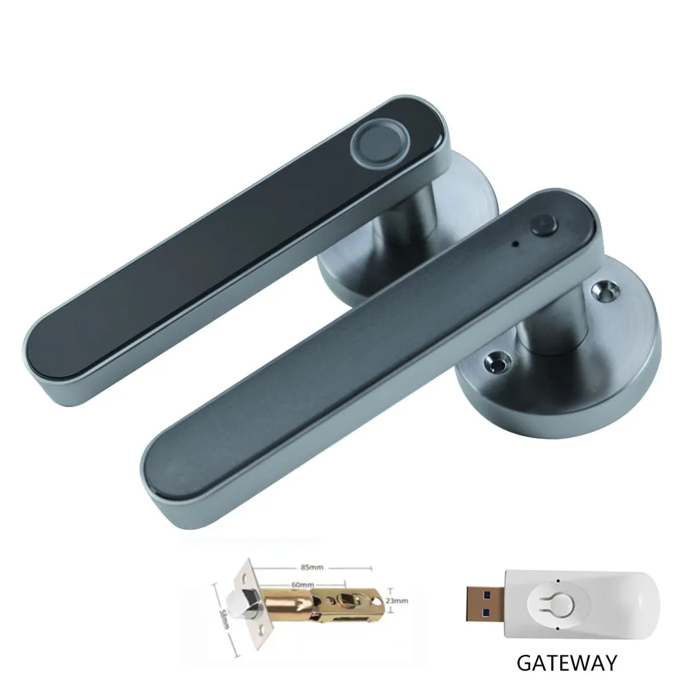 Electronic Smart Door Lock Biometric Fingerprint Door