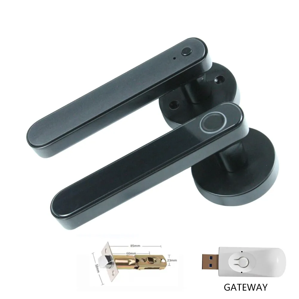 Electronic Smart Door Lock Biometric Fingerprint Door