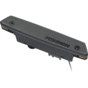 Fishman RARE EARTH Humbucking Soundhole Acoustic Pickup