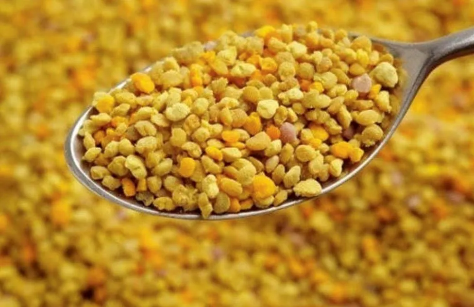 Organic Bee Pollen - 150 or 325 grams
