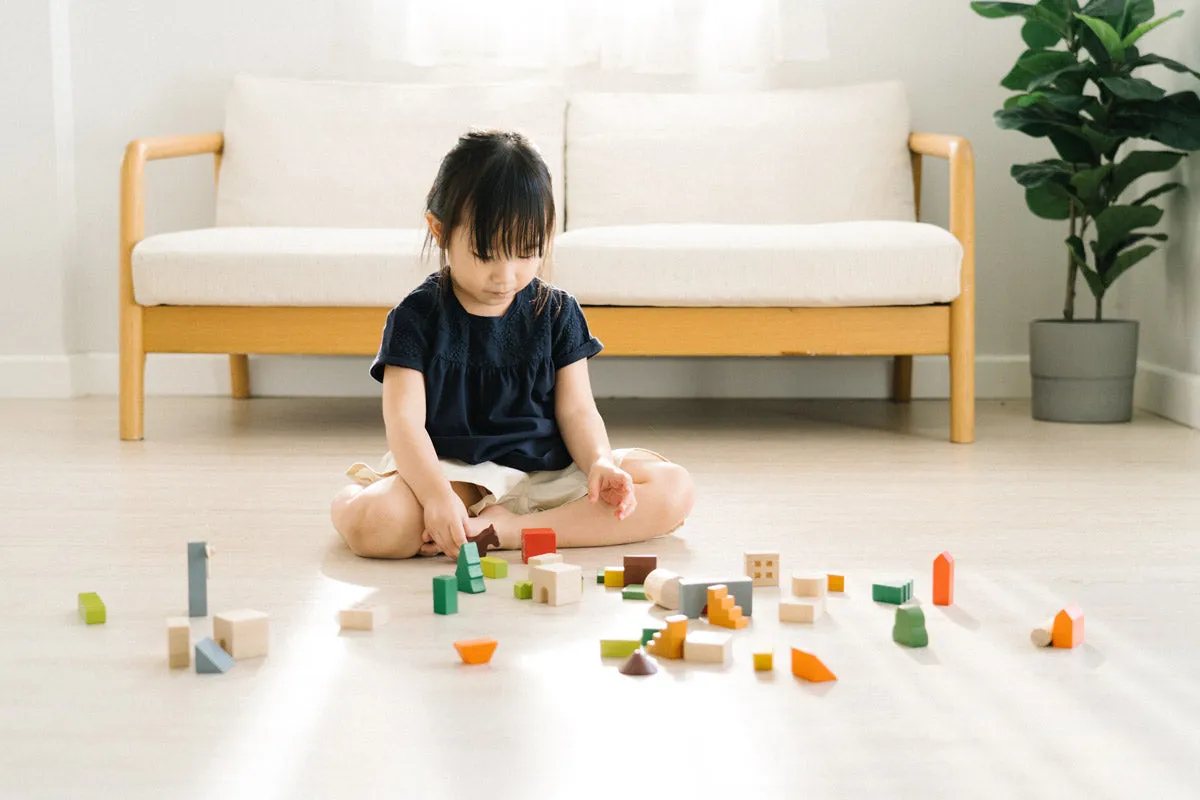 PlanToys Countryside Blocks Set