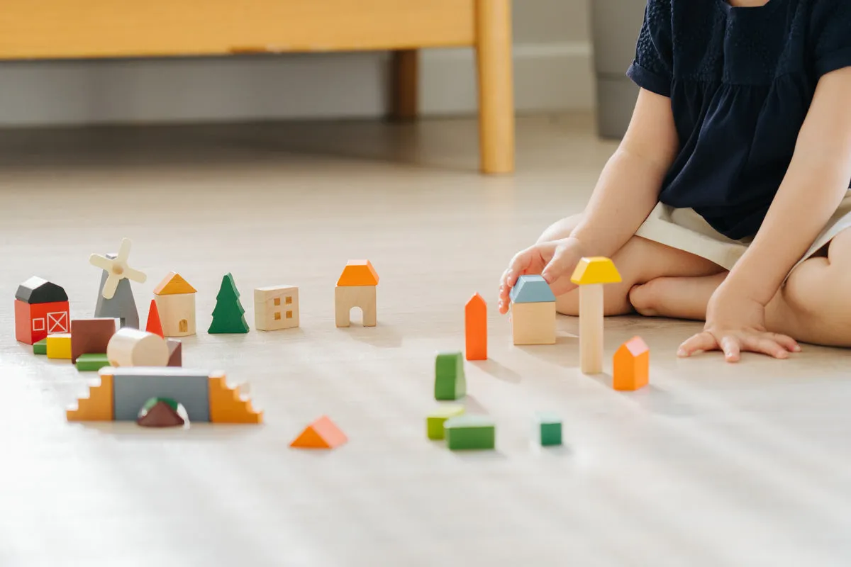 PlanToys Countryside Blocks Set