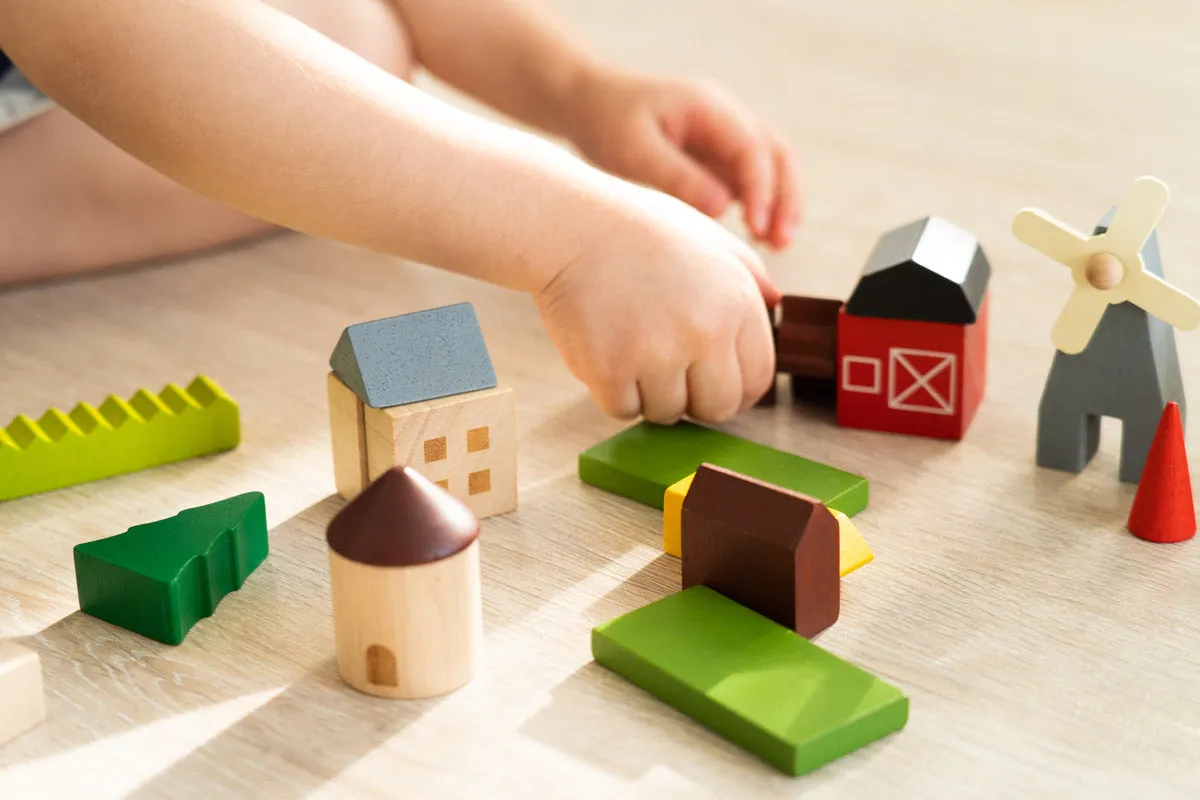 PlanToys Countryside Blocks Set