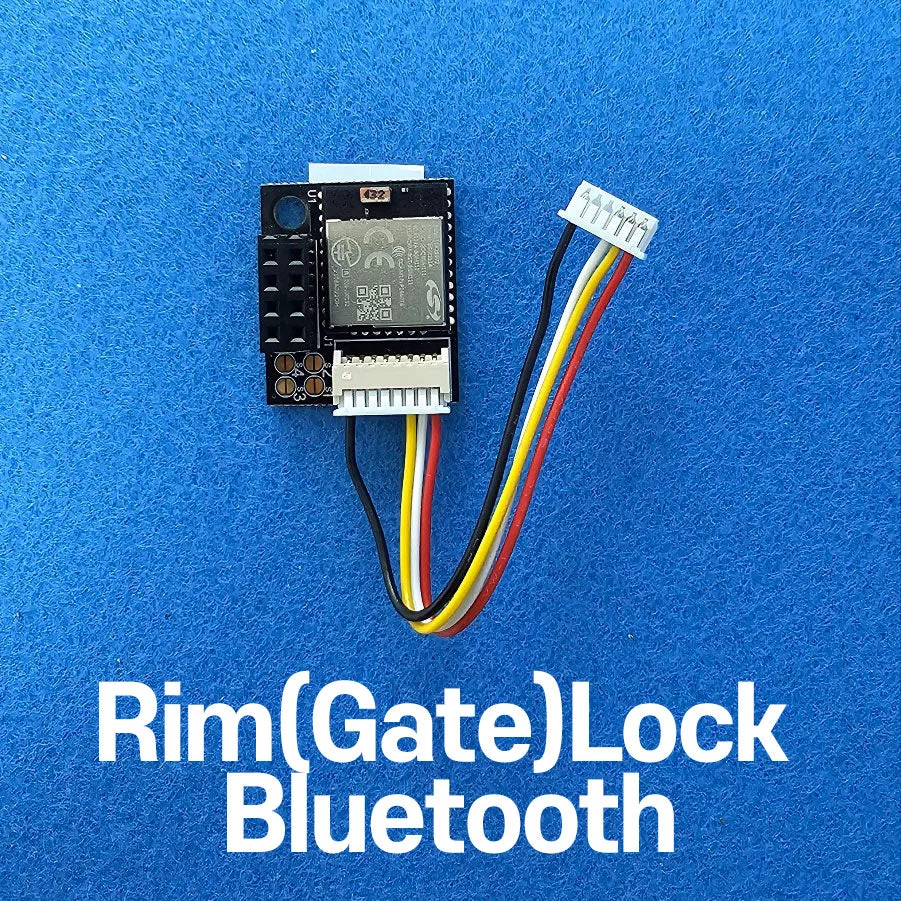 Rim Lock (Gate Lock) Bluetooth