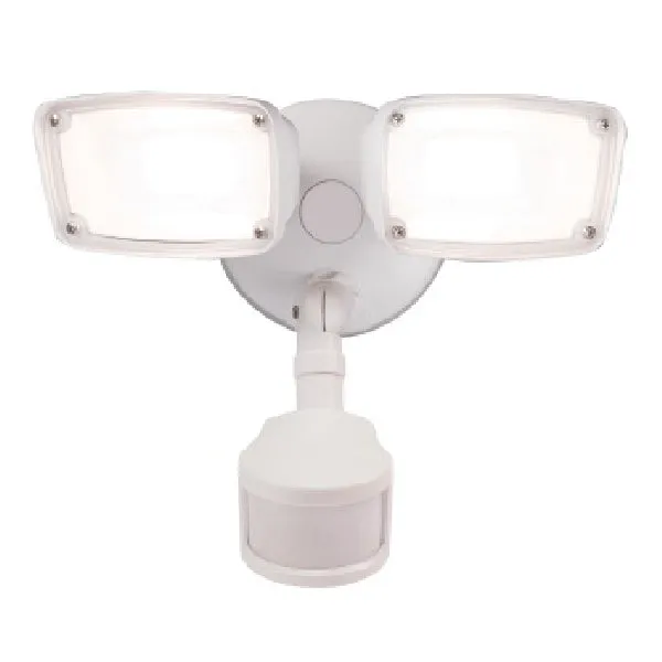 Security Motion Flood Light