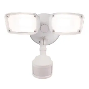 Security Motion Flood Light