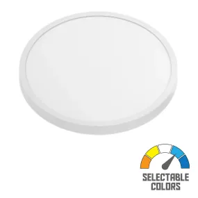 Slim SUMO 19 in. LED Surface Mount Light 120-277V Selectable CCT White Finish